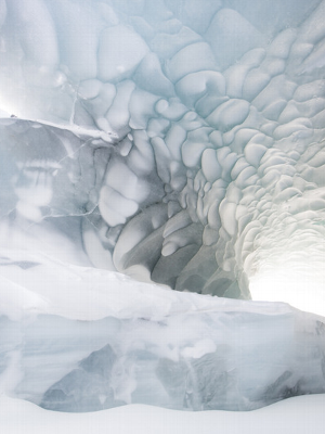 Arctic Photography | Stuart Thomson Foto gallery image 25