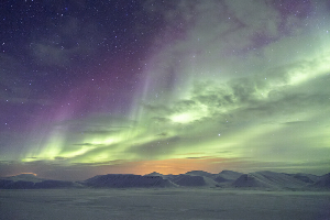 Arctic Photography | Stuart Thomson Foto gallery image 37